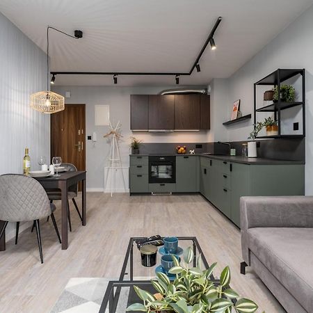 Citycenterapartments-11/21 Bielsko-Biała Dış mekan fotoğraf
