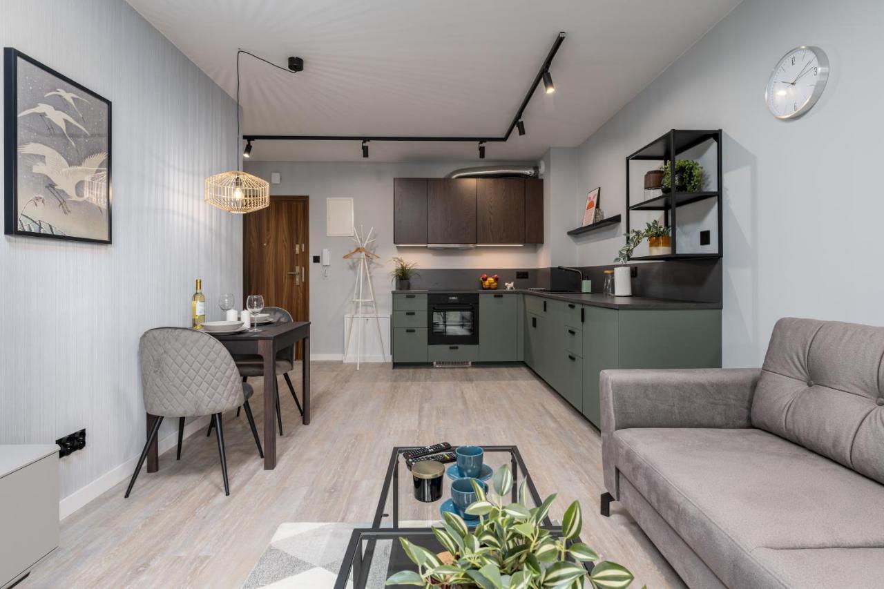 Citycenterapartments-11/21 Bielsko-Biała Dış mekan fotoğraf